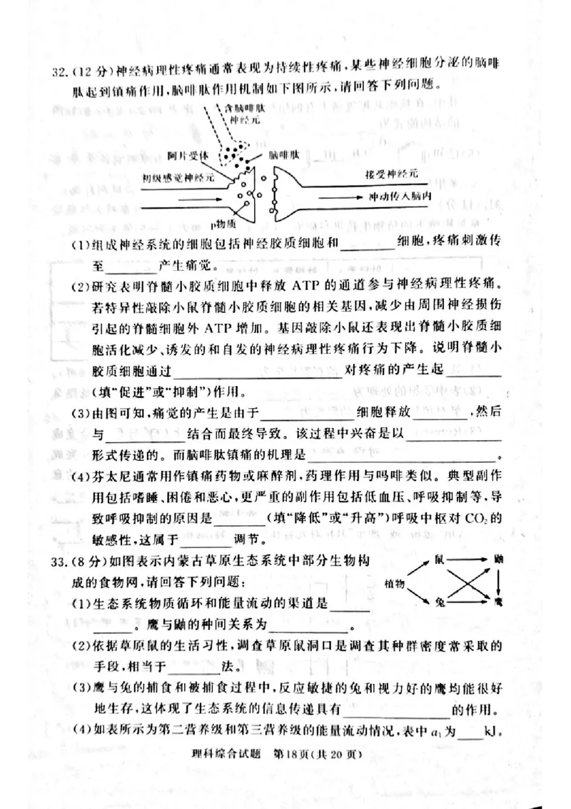 湘豫名校联考2024届高三第二次模拟考试理综试题_2024年4月_01按日期_1号_2024届湘豫名校联考春季高三第二次模拟考试_2024届湘豫名校联考春季高三第二次模拟考试-理综