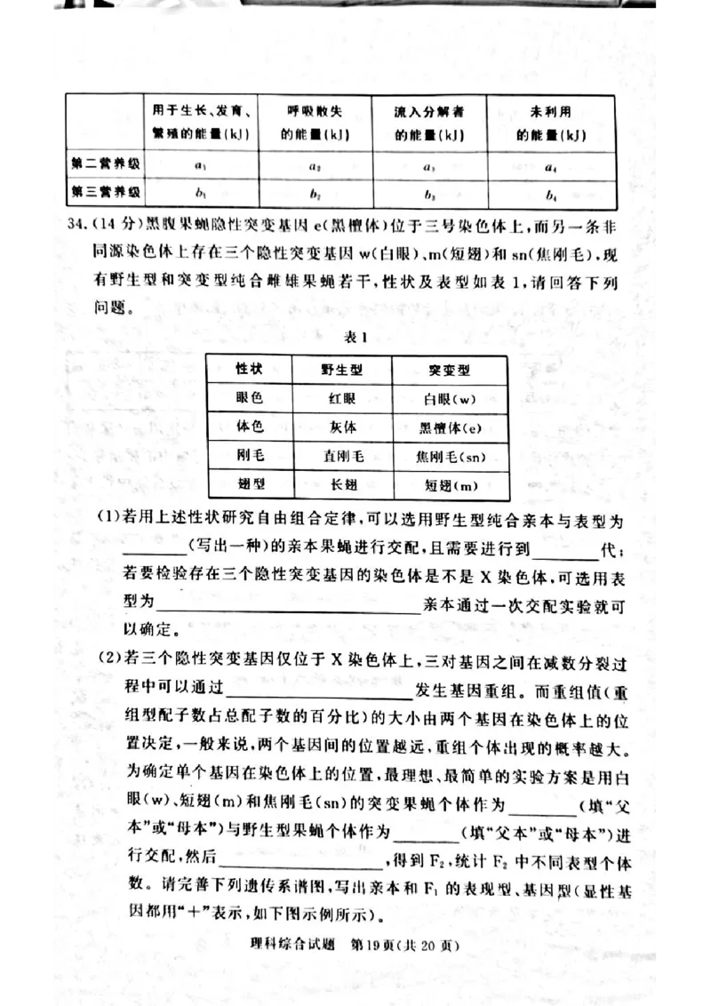 湘豫名校联考2024届高三第二次模拟考试理综试题_2024年4月_01按日期_1号_2024届湘豫名校联考春季高三第二次模拟考试_2024届湘豫名校联考春季高三第二次模拟考试-理综
