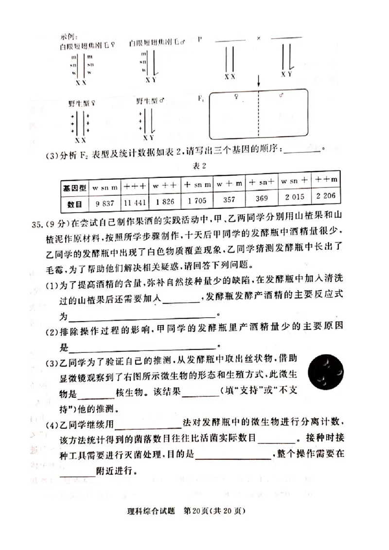 湘豫名校联考2024届高三第二次模拟考试理综试题_2024年4月_01按日期_1号_2024届湘豫名校联考春季高三第二次模拟考试_2024届湘豫名校联考春季高三第二次模拟考试-理综