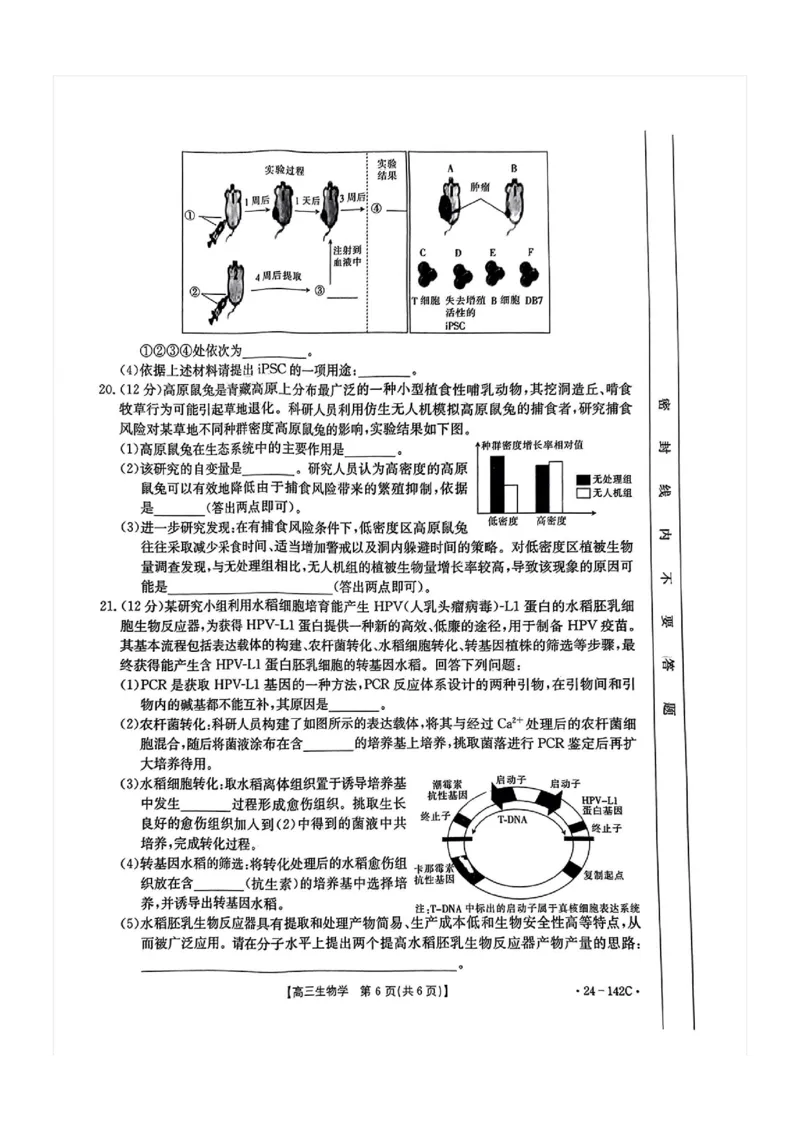 11月金太阳24-142C生物试题(1)_2023年11月_0211月合集_2024届广东省高三11月金太阳联考（24-142C）_广东省2024届高三11月金太阳联考（24-142C）生物