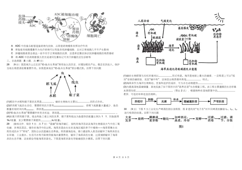 内蒙古自治区巴彦淖尔市临河区巴彦淖尔市第一中学2024-2025学年高二下学期4月期中生物试题_2024-2025高二（7-7月题库）_2025年05月试卷
