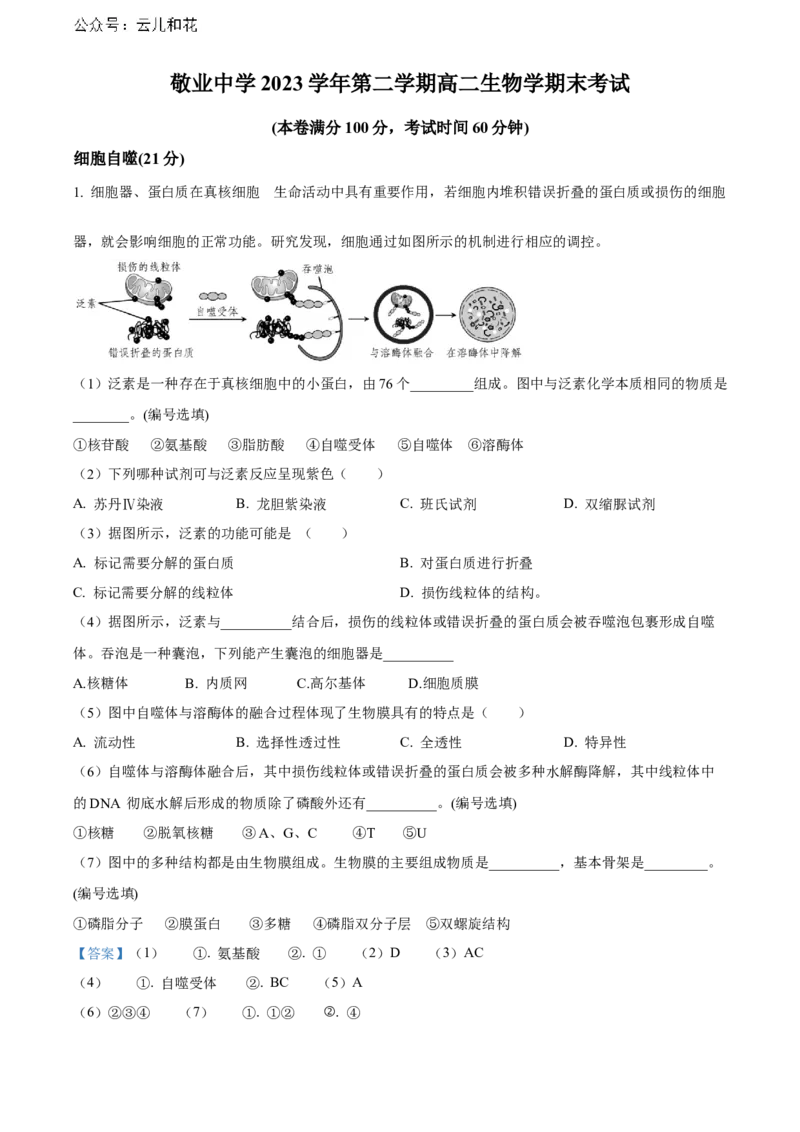 上海市黄浦区敬业中学2023-2024学年高二下学期6月期末生物答案_2024-2025高二（7-7月题库）_2024年07月试卷_07022024上海市黄浦区敬业中学高二下学期6月期末