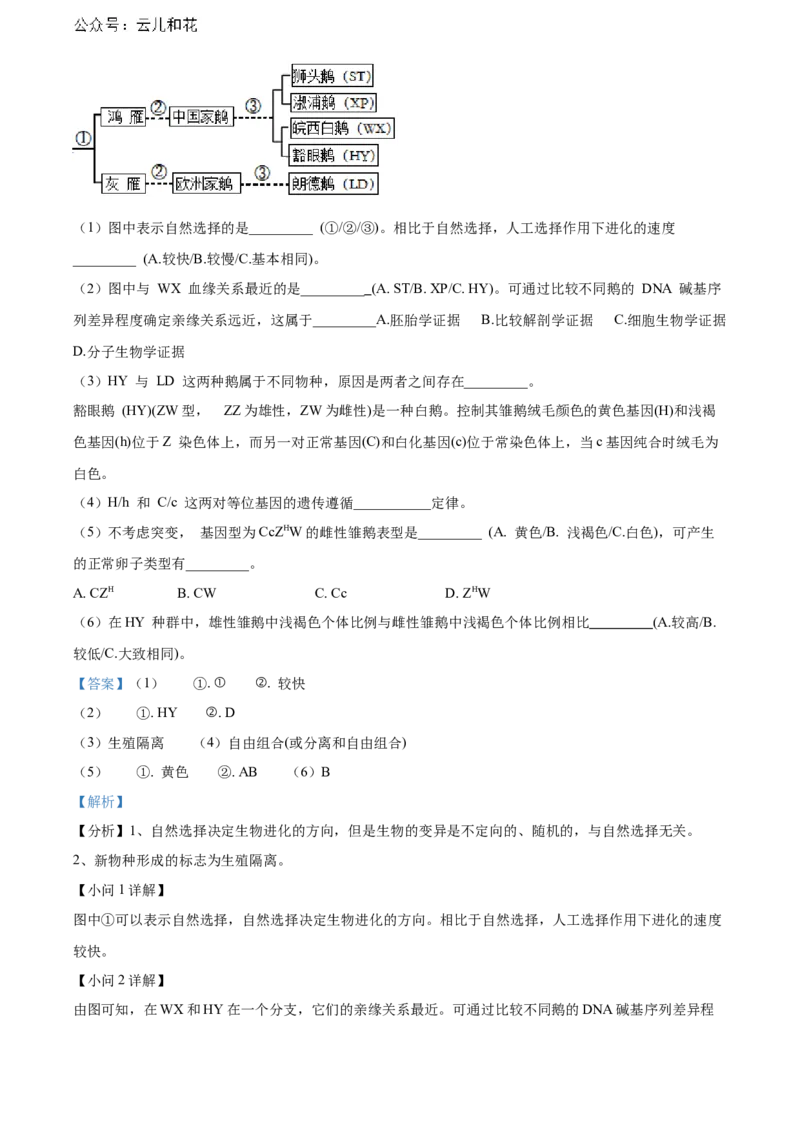 上海市黄浦区敬业中学2023-2024学年高二下学期6月期末生物答案_2024-2025高二（7-7月题库）_2024年07月试卷_07022024上海市黄浦区敬业中学高二下学期6月期末