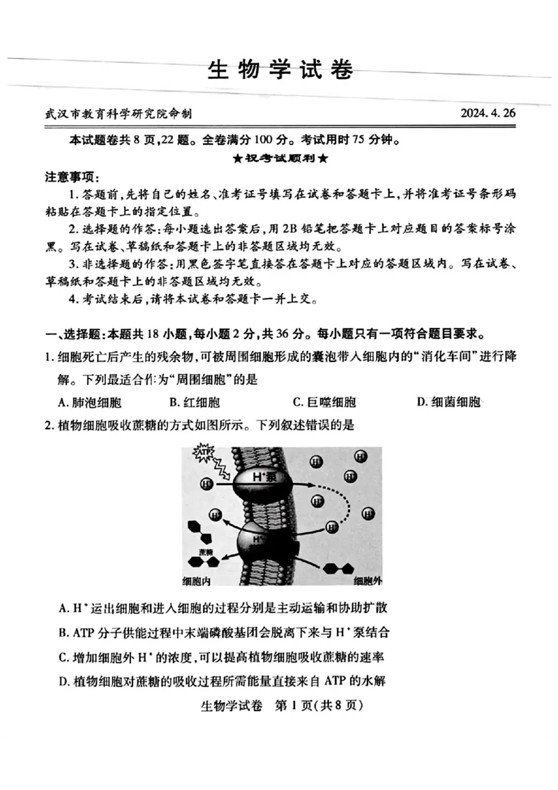 武汉四调生物试卷_2024年4月_01按日期_29号_2024届湖北省武汉市高三四月调研考试_湖北省武汉市2024届高中毕业生四月调研考试生物