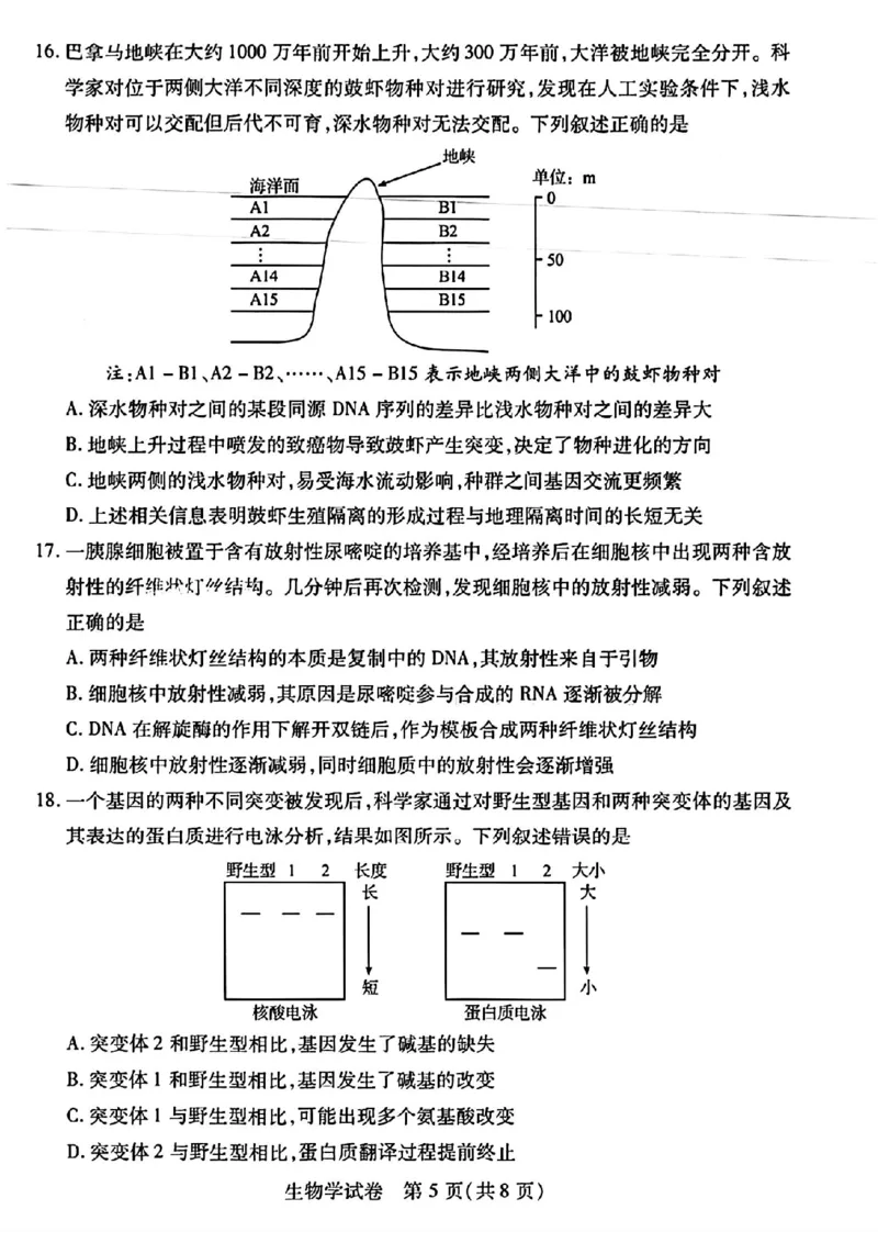 武汉四调生物试卷_2024年4月_01按日期_29号_2024届湖北省武汉市高三四月调研考试_湖北省武汉市2024届高中毕业生四月调研考试生物