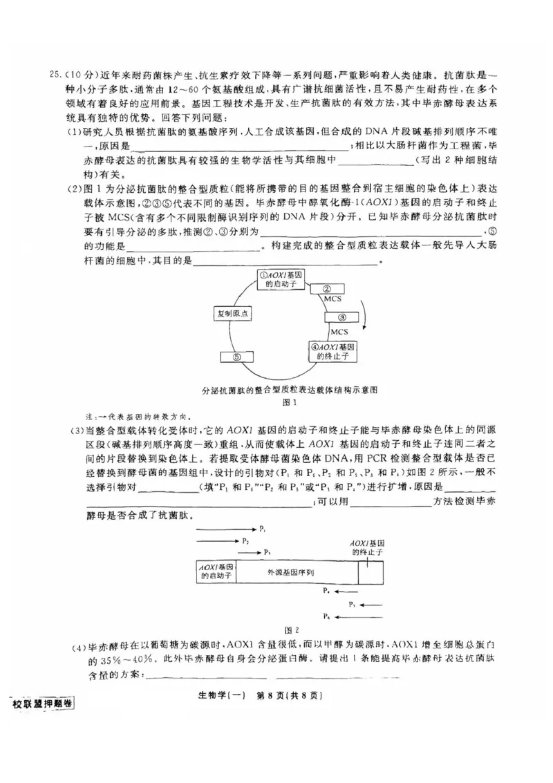 2025届辽宁省名校联盟高三下学期高考模拟卷押题卷生物学（一）试题_2024-2025高三（6-6月题库）_2025年05月试卷_0508辽宁省名校联盟2025年高考模拟卷押题卷（数物化生）