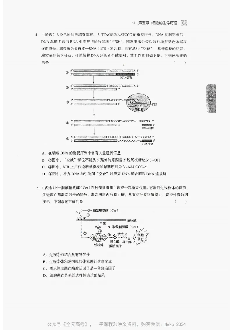2024万猛生物精讲精练一轮_@_2024-2025高三（6-6月题库）_2024年09月试卷_万猛