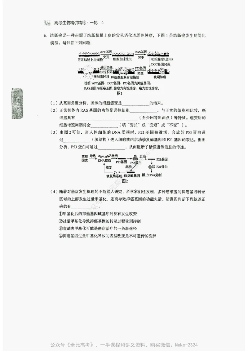 2024万猛生物精讲精练一轮_@_2024-2025高三（6-6月题库）_2024年09月试卷_万猛