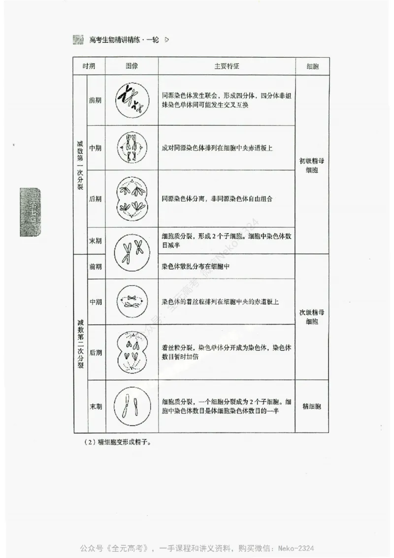 2024万猛生物精讲精练一轮_@_2024-2025高三（6-6月题库）_2024年09月试卷_万猛