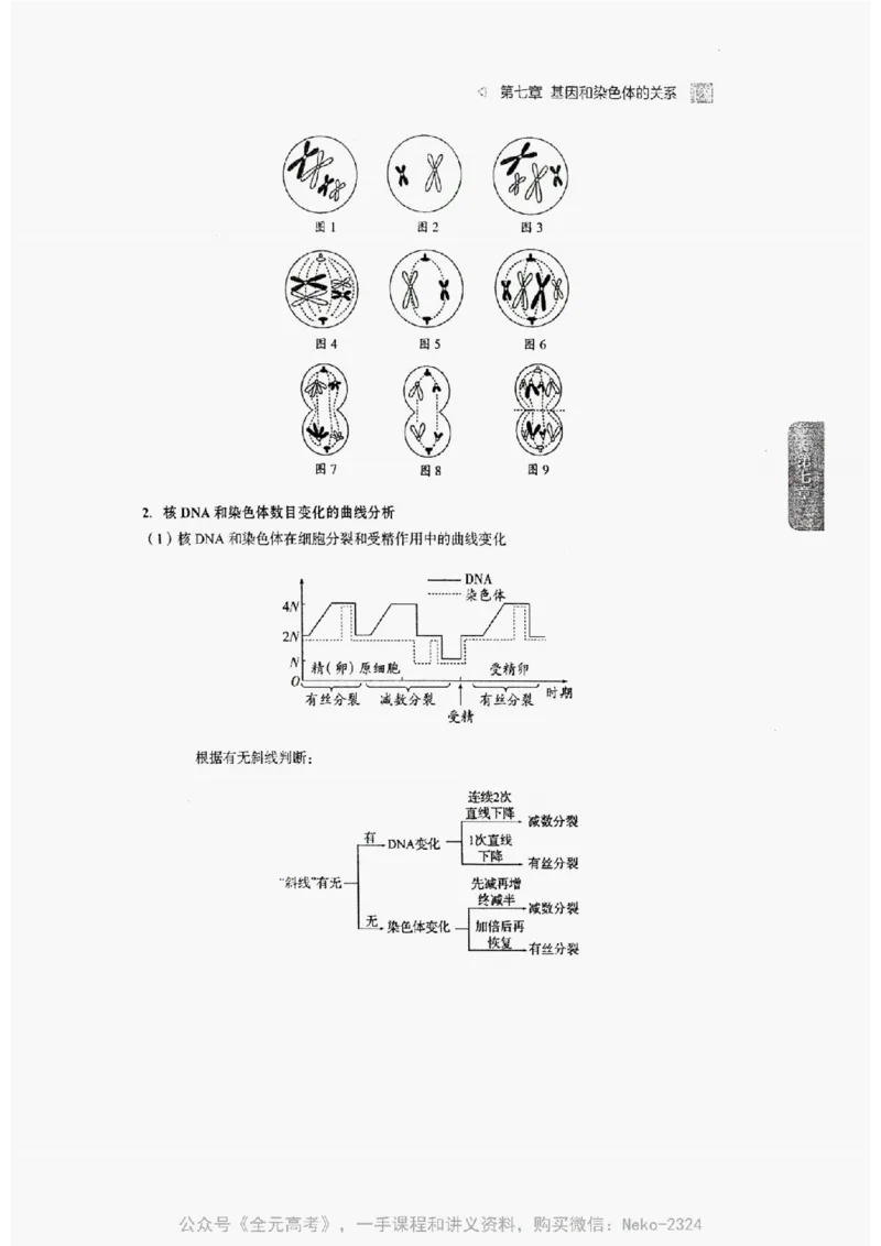 2024万猛生物精讲精练一轮_@_2024-2025高三（6-6月题库）_2024年09月试卷_万猛