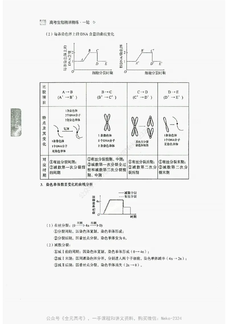 2024万猛生物精讲精练一轮_@_2024-2025高三（6-6月题库）_2024年09月试卷_万猛