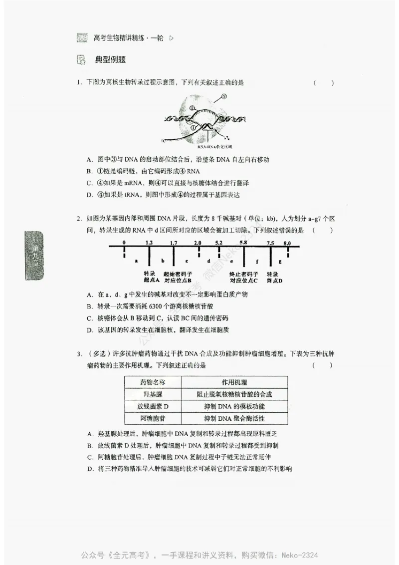 2024万猛生物精讲精练一轮_@_2024-2025高三（6-6月题库）_2024年09月试卷_万猛