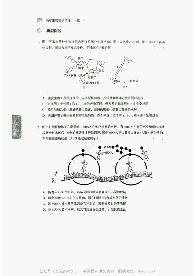 2024万猛生物精讲精练一轮_@_2024-2025高三（6-6月题库）_2024年09月试卷_万猛