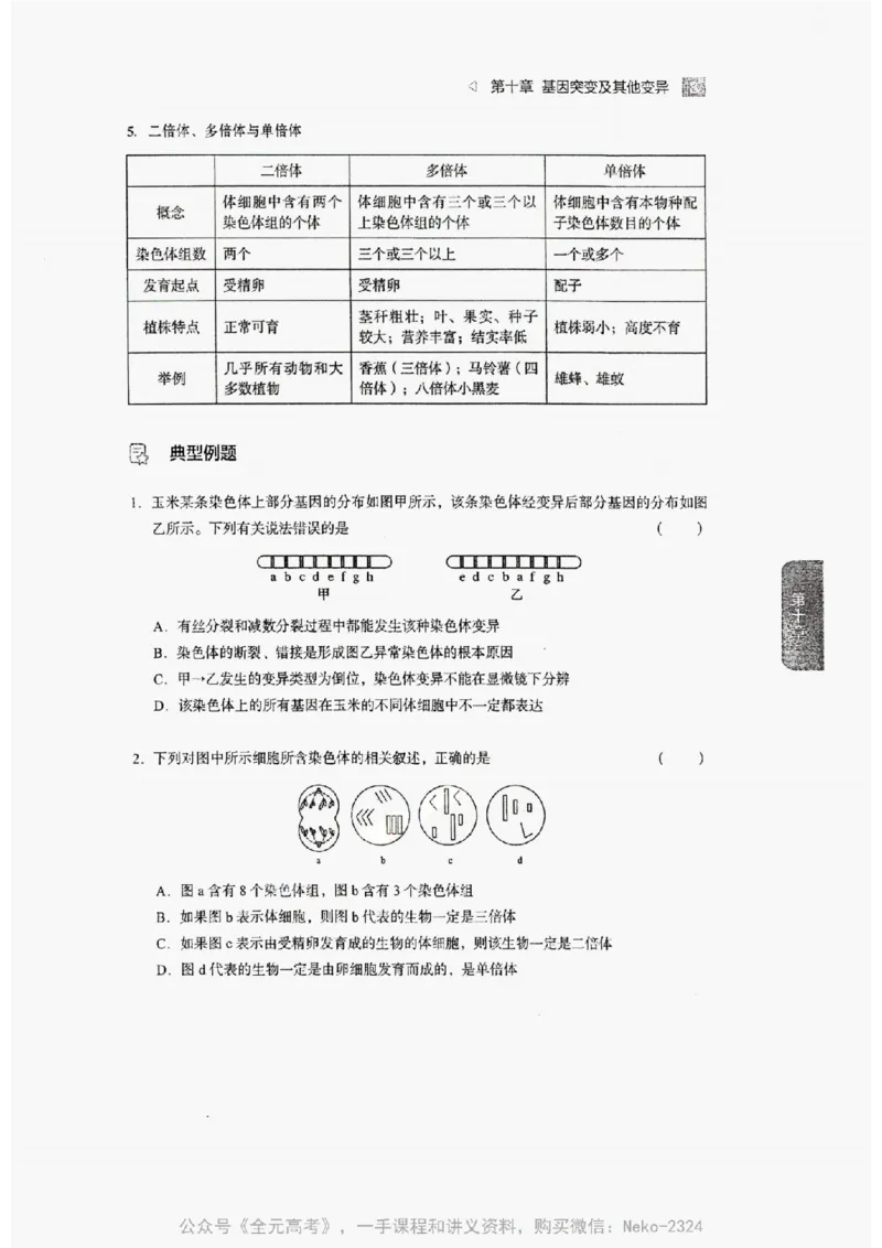 2024万猛生物精讲精练一轮_@_2024-2025高三（6-6月题库）_2024年09月试卷_万猛