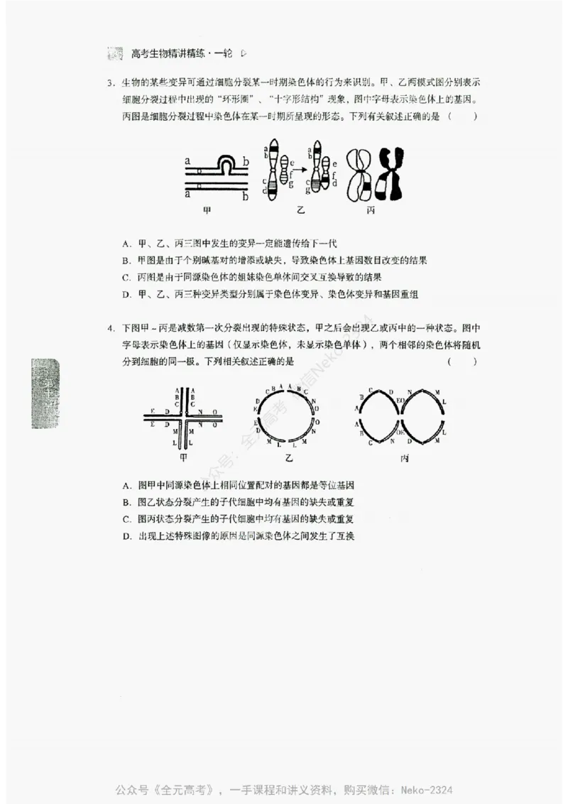 2024万猛生物精讲精练一轮_@_2024-2025高三（6-6月题库）_2024年09月试卷_万猛