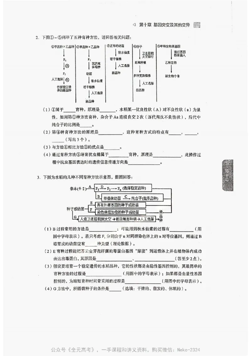 2024万猛生物精讲精练一轮_@_2024-2025高三（6-6月题库）_2024年09月试卷_万猛