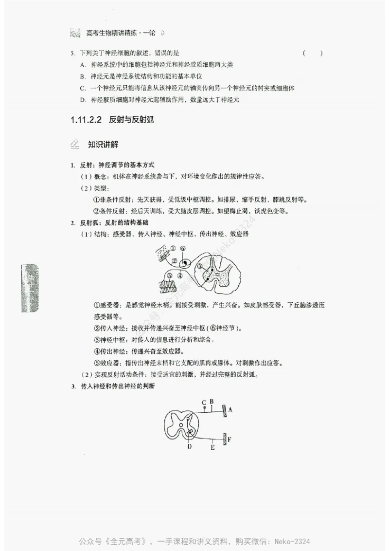 2024万猛生物精讲精练一轮_@_2024-2025高三（6-6月题库）_2024年09月试卷_万猛