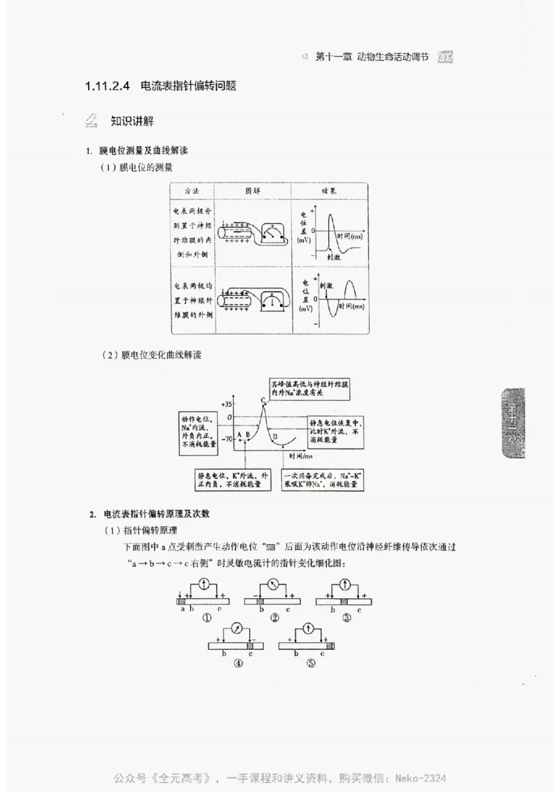 2024万猛生物精讲精练一轮_@_2024-2025高三（6-6月题库）_2024年09月试卷_万猛