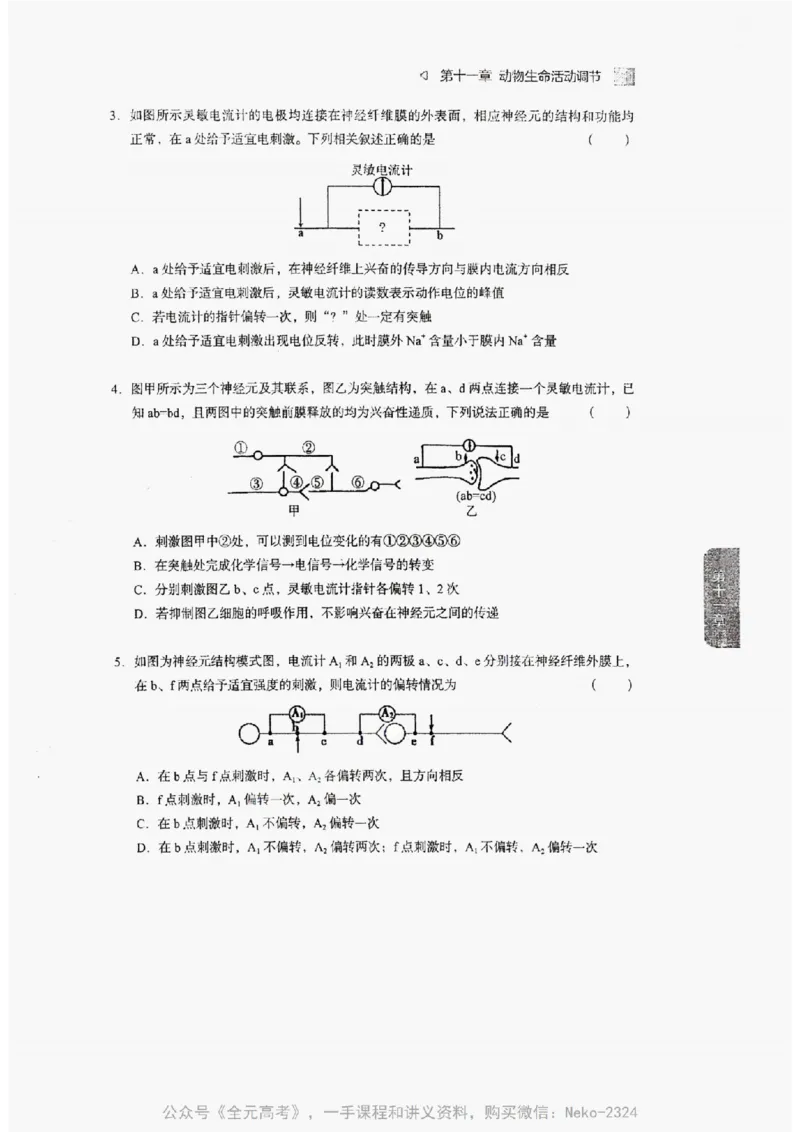 2024万猛生物精讲精练一轮_@_2024-2025高三（6-6月题库）_2024年09月试卷_万猛