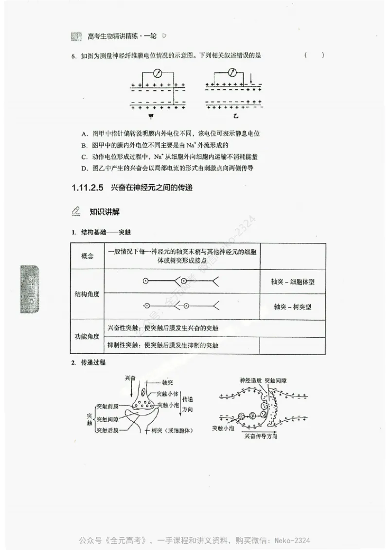 2024万猛生物精讲精练一轮_@_2024-2025高三（6-6月题库）_2024年09月试卷_万猛