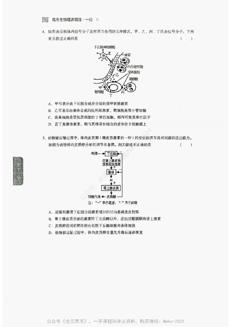 2024万猛生物精讲精练一轮_@_2024-2025高三（6-6月题库）_2024年09月试卷_万猛