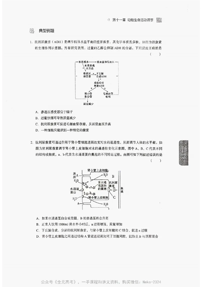 2024万猛生物精讲精练一轮_@_2024-2025高三（6-6月题库）_2024年09月试卷_万猛