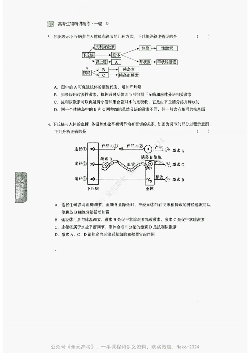 2024万猛生物精讲精练一轮_@_2024-2025高三（6-6月题库）_2024年09月试卷_万猛