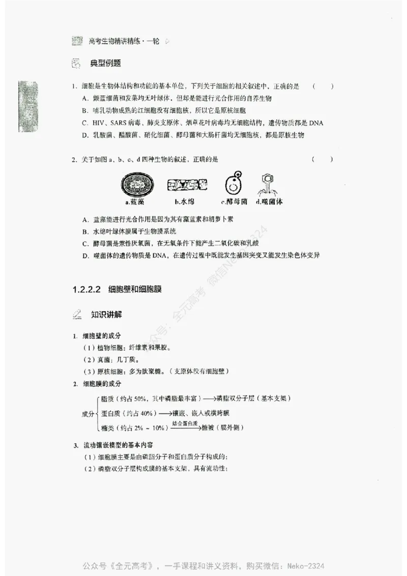 2024万猛生物精讲精练一轮_@_2024-2025高三（6-6月题库）_2024年09月试卷_万猛