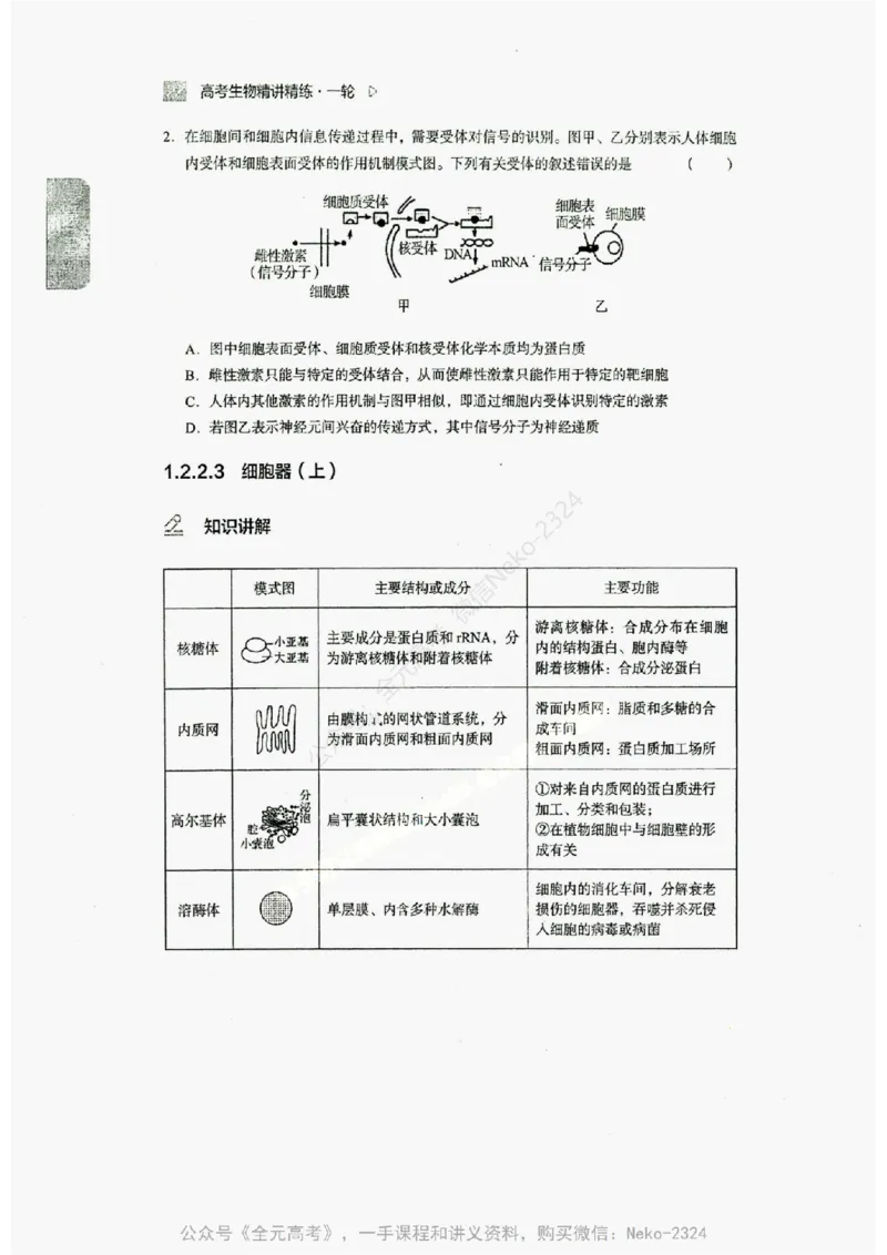 2024万猛生物精讲精练一轮_@_2024-2025高三（6-6月题库）_2024年09月试卷_万猛