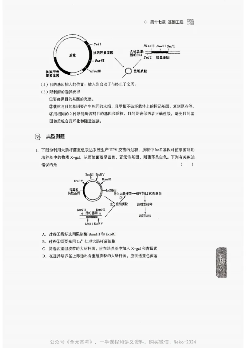 2024万猛生物精讲精练一轮_@_2024-2025高三（6-6月题库）_2024年09月试卷_万猛