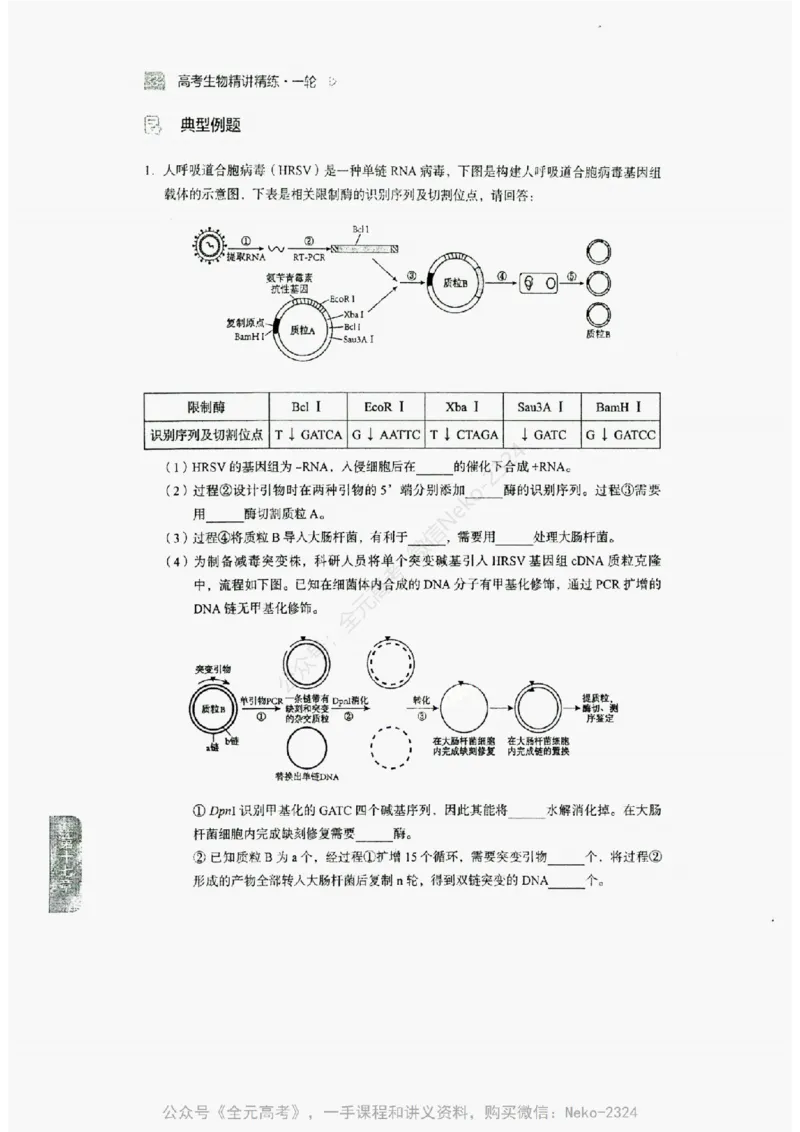 2024万猛生物精讲精练一轮_@_2024-2025高三（6-6月题库）_2024年09月试卷_万猛