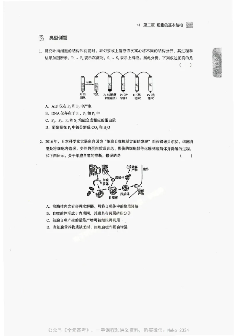 2024万猛生物精讲精练一轮_@_2024-2025高三（6-6月题库）_2024年09月试卷_万猛