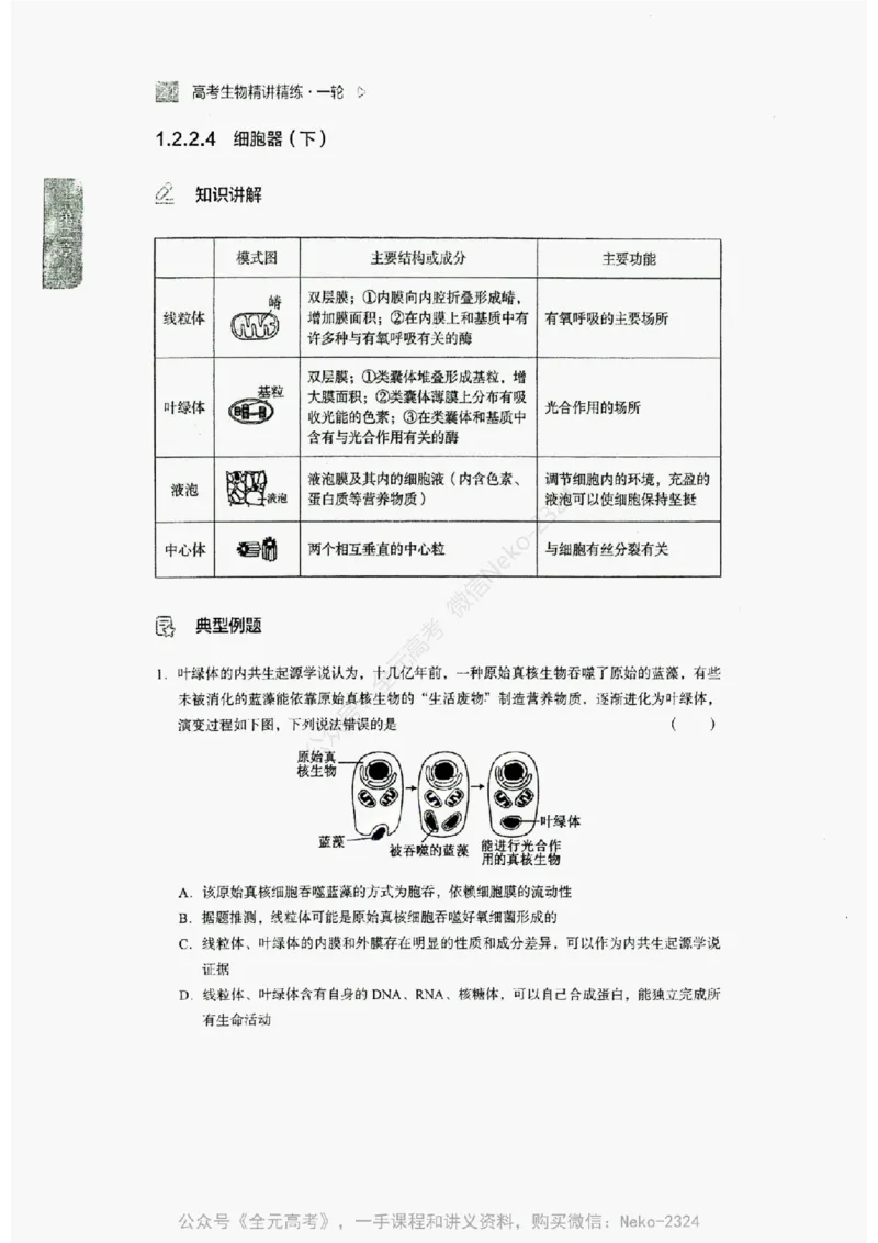 2024万猛生物精讲精练一轮_@_2024-2025高三（6-6月题库）_2024年09月试卷_万猛
