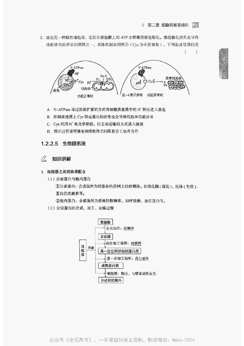 2024万猛生物精讲精练一轮_@_2024-2025高三（6-6月题库）_2024年09月试卷_万猛