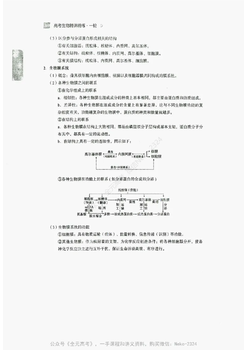 2024万猛生物精讲精练一轮_@_2024-2025高三（6-6月题库）_2024年09月试卷_万猛