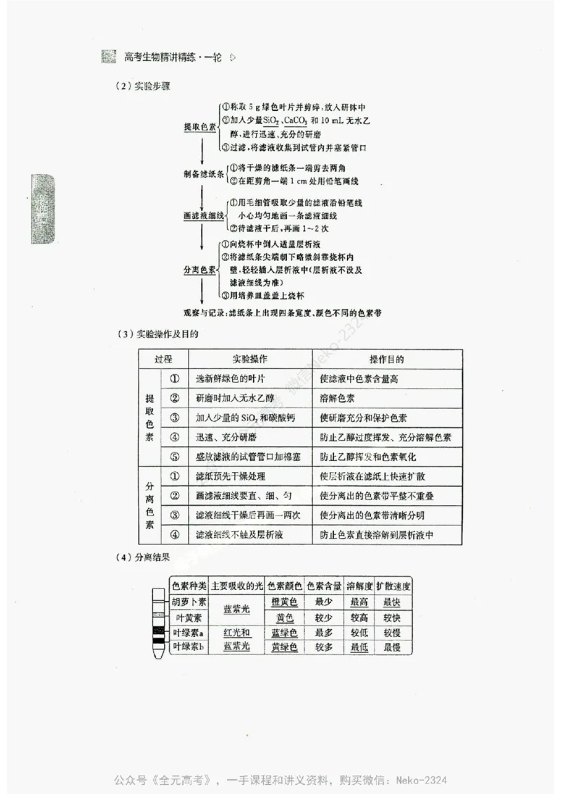 2024万猛生物精讲精练一轮_@_2024-2025高三（6-6月题库）_2024年09月试卷_万猛