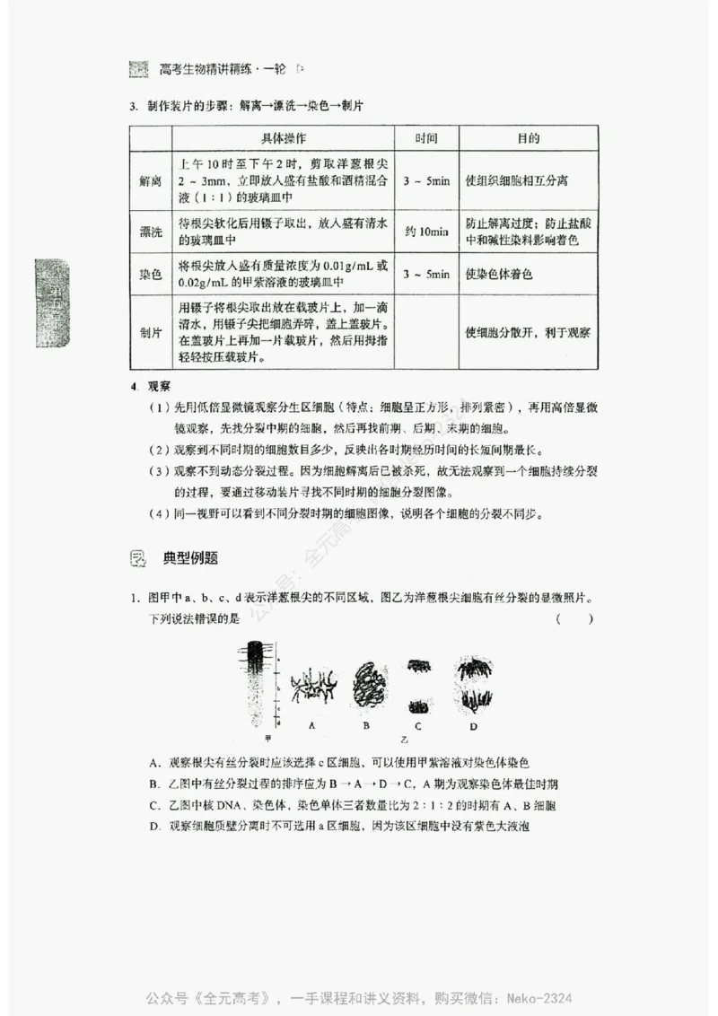 2024万猛生物精讲精练一轮_@_2024-2025高三（6-6月题库）_2024年09月试卷_万猛