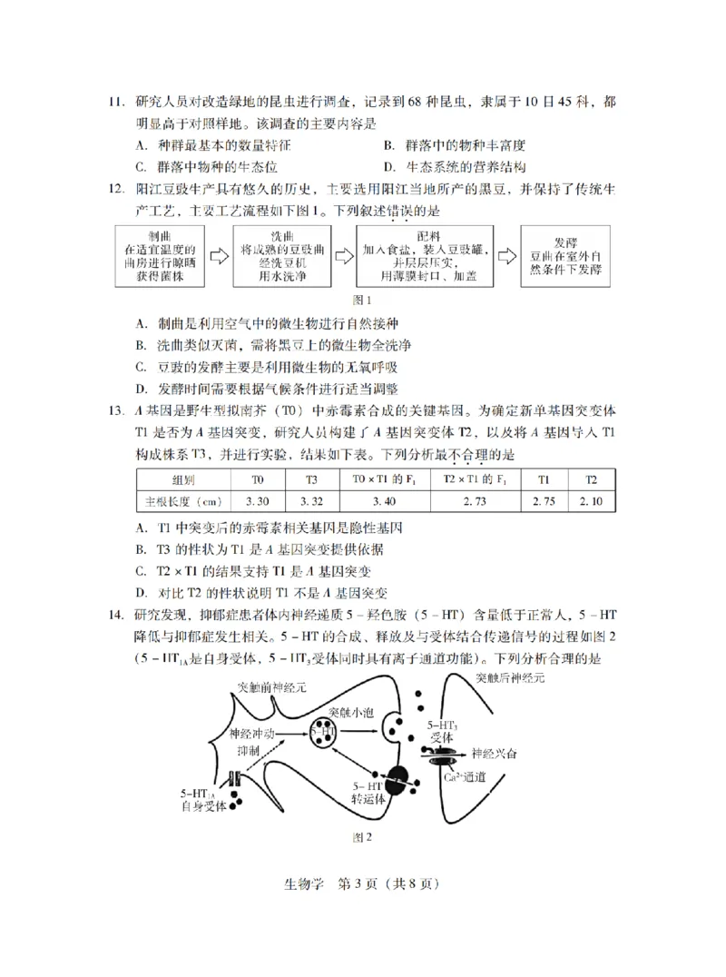 11月调考&middot;生物试卷_2024-2025高三（6-6月题库）_2024年11月试卷_11222025届广东普通高中毕业班第二次调研考试_广东省2025届普通高中毕业班第二次调研考试生物试卷