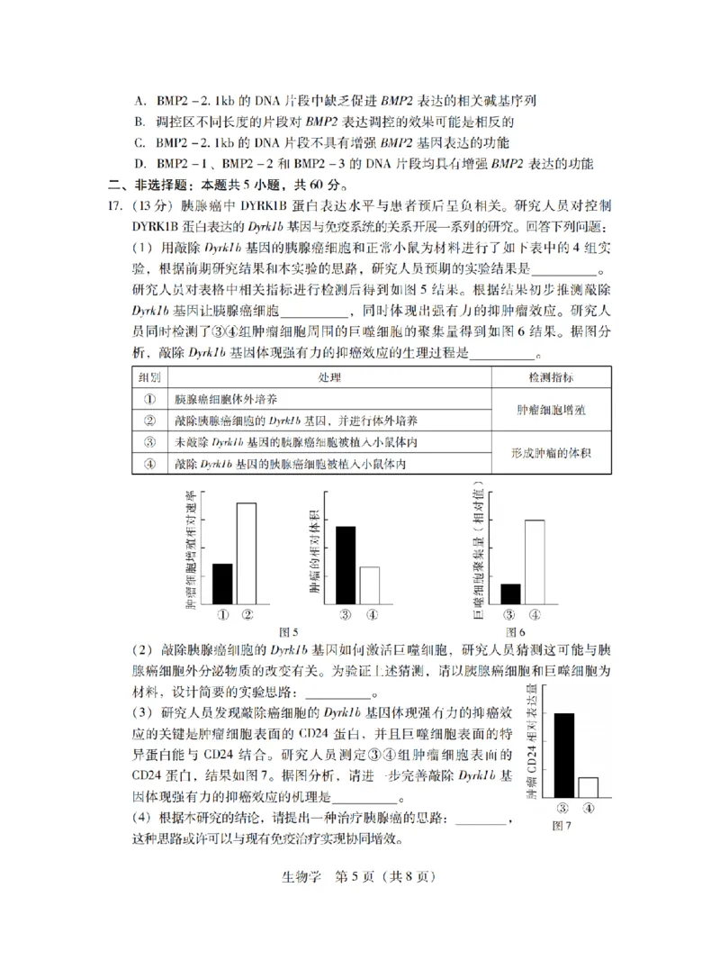 11月调考&middot;生物试卷_2024-2025高三（6-6月题库）_2024年11月试卷_11222025届广东普通高中毕业班第二次调研考试_广东省2025届普通高中毕业班第二次调研考试生物试卷