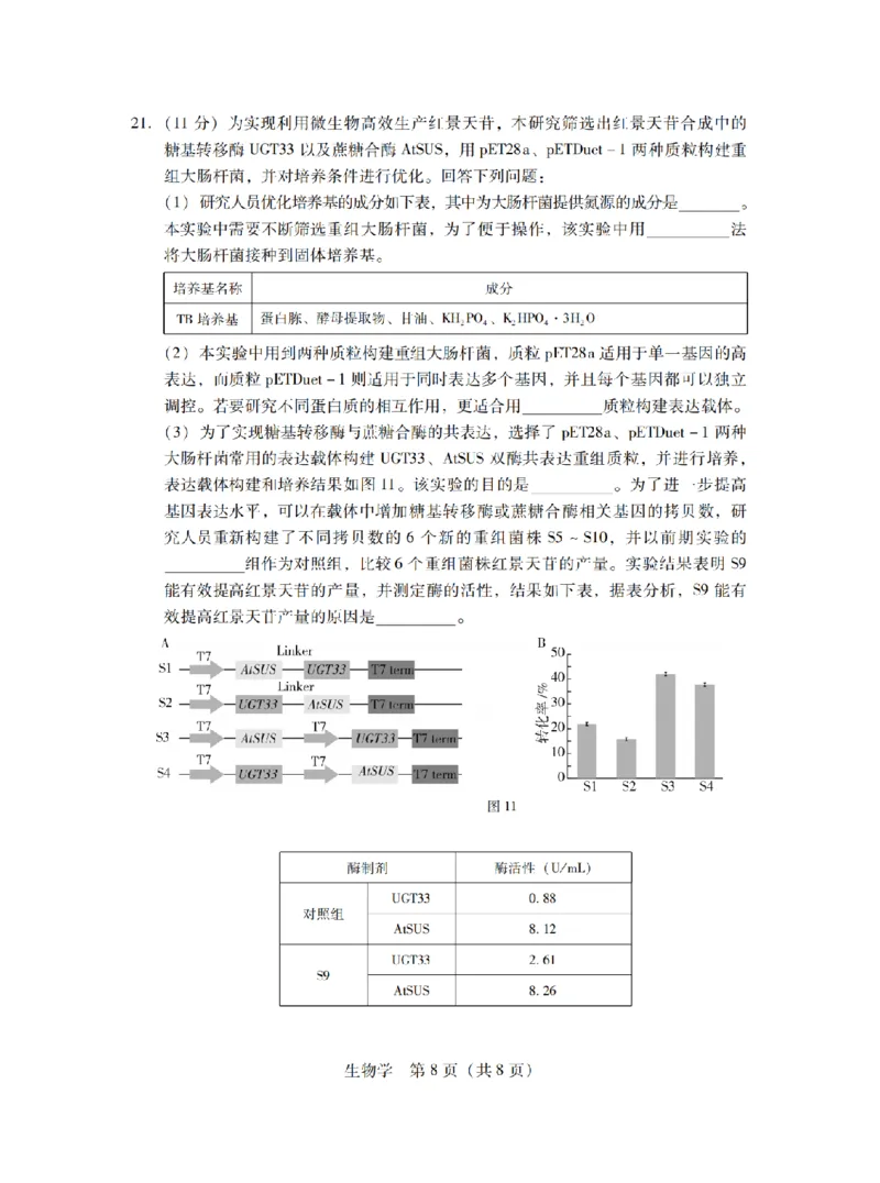 11月调考&middot;生物试卷_2024-2025高三（6-6月题库）_2024年11月试卷_11222025届广东普通高中毕业班第二次调研考试_广东省2025届普通高中毕业班第二次调研考试生物试卷