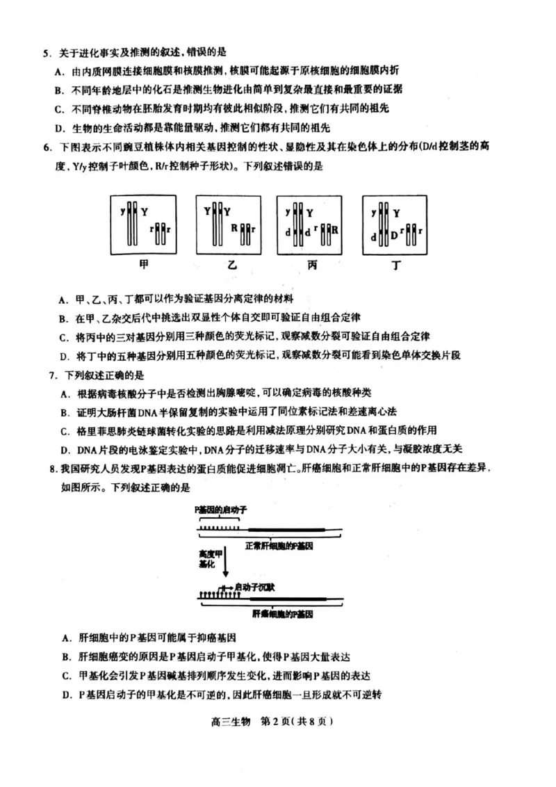 2024届河北省石家庄市普通高中学校毕业年级教学质量摸底检测生物(1)_2023年11月_01每日更新_23号_2024届河北省石家庄市普通高中学校毕业年级教学质量摸底检测