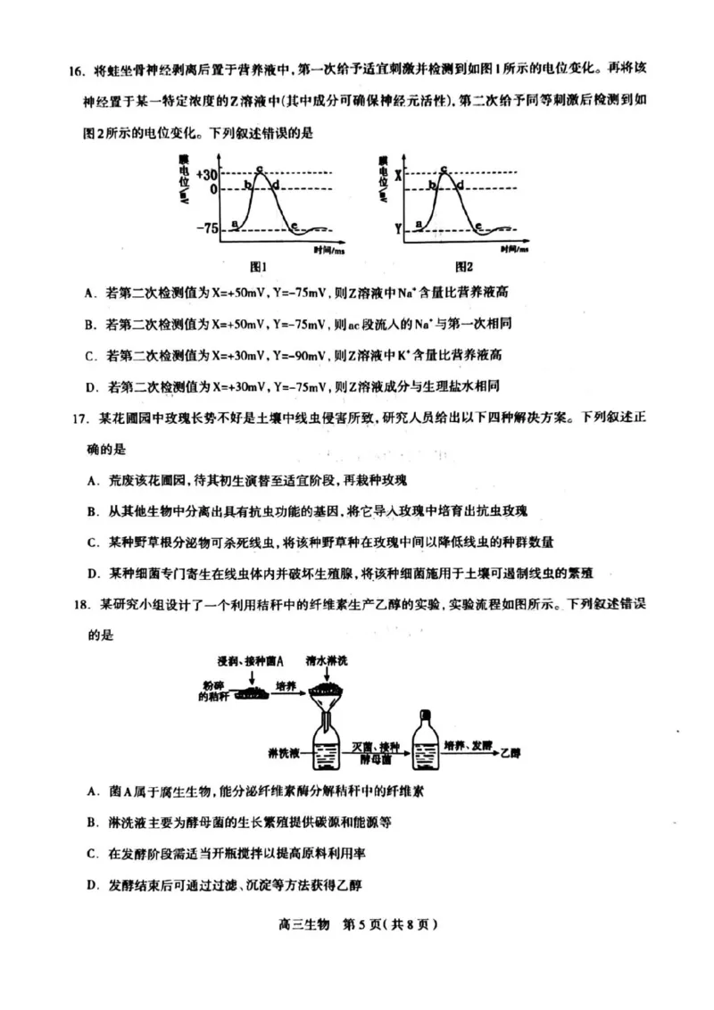 2024届河北省石家庄市普通高中学校毕业年级教学质量摸底检测生物(1)_2023年11月_01每日更新_23号_2024届河北省石家庄市普通高中学校毕业年级教学质量摸底检测