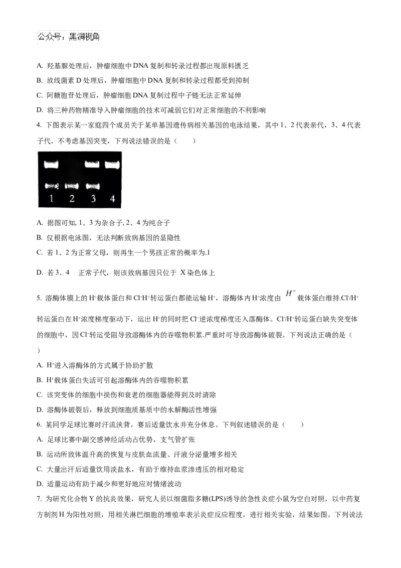 2025届湖南省益阳市一模生物试题Word版无答案_2024-2025高三（6-6月题库）_2024年09月试卷_0910湖南省益阳市2024-2025学年高三上学期9月第一次教学质量检测
