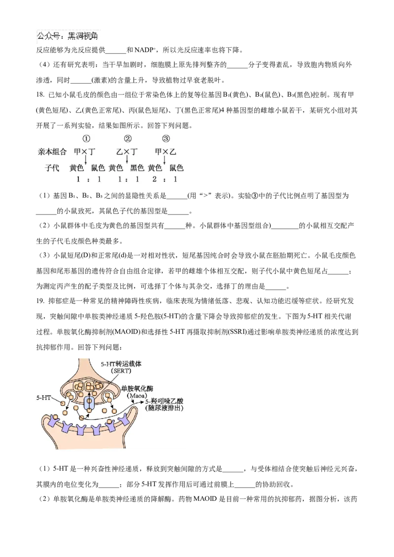 2025届湖南省益阳市一模生物试题Word版无答案_2024-2025高三（6-6月题库）_2024年09月试卷_0910湖南省益阳市2024-2025学年高三上学期9月第一次教学质量检测