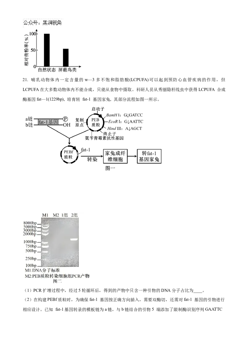 2025届湖南省益阳市一模生物试题Word版无答案_2024-2025高三（6-6月题库）_2024年09月试卷_0910湖南省益阳市2024-2025学年高三上学期9月第一次教学质量检测