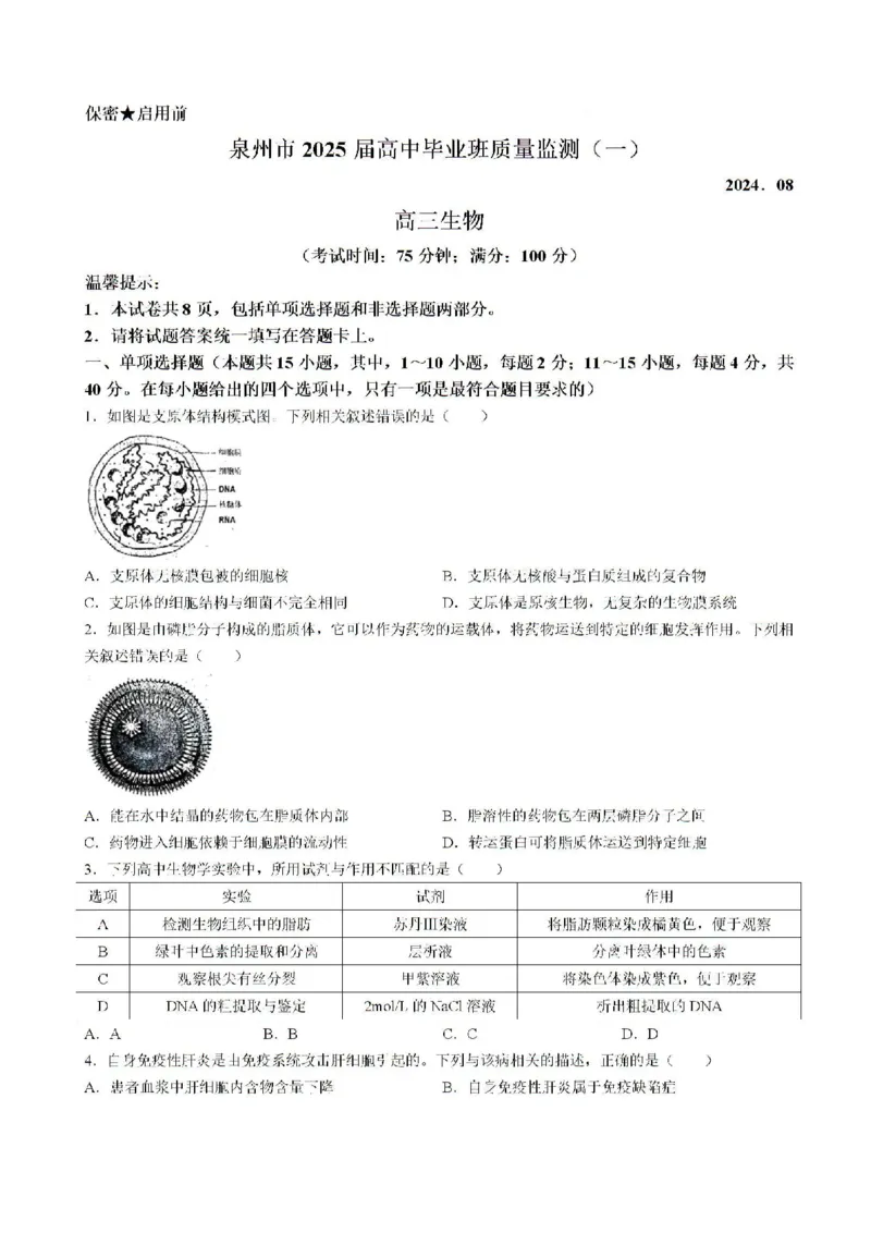 2025届福建省泉州市高三上学期8月高中毕业班质量监测（一）生物试题含答案_2024-2025高三（6-6月题库）_2024年08月试卷_0831福建省泉州市2025届高中毕业班质量监测（一）