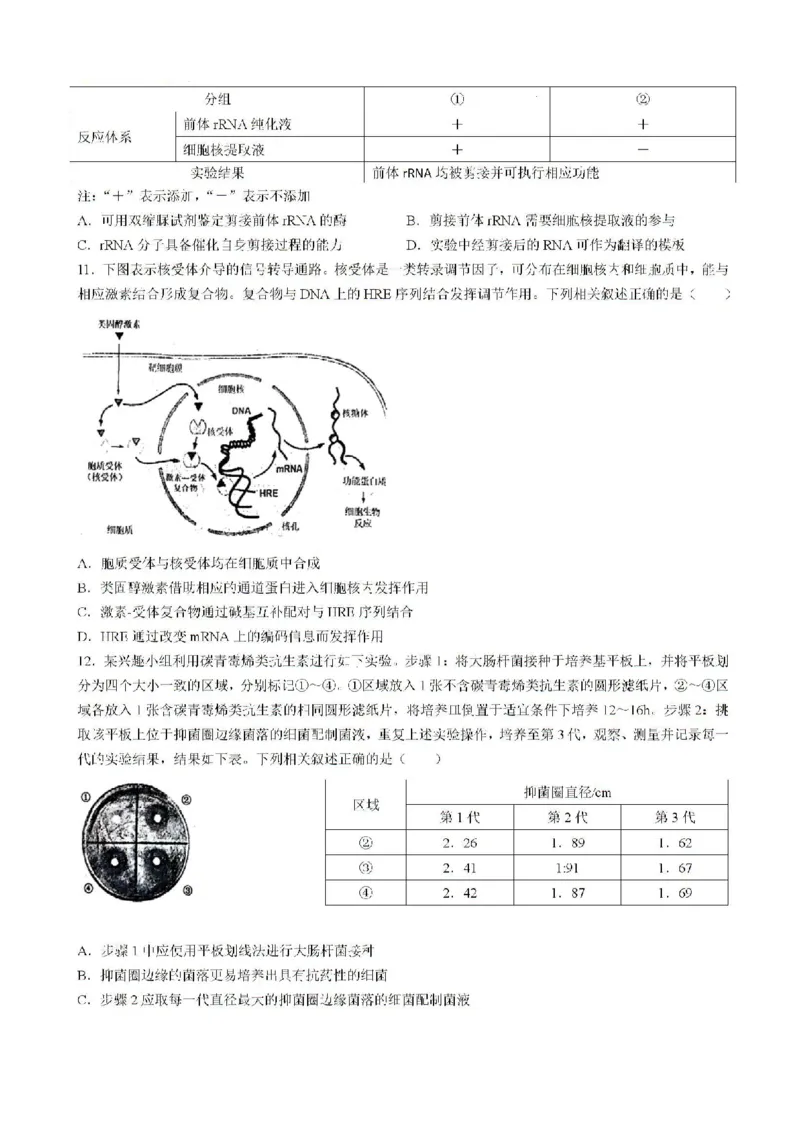 2025届福建省泉州市高三上学期8月高中毕业班质量监测（一）生物试题含答案_2024-2025高三（6-6月题库）_2024年08月试卷_0831福建省泉州市2025届高中毕业班质量监测（一）