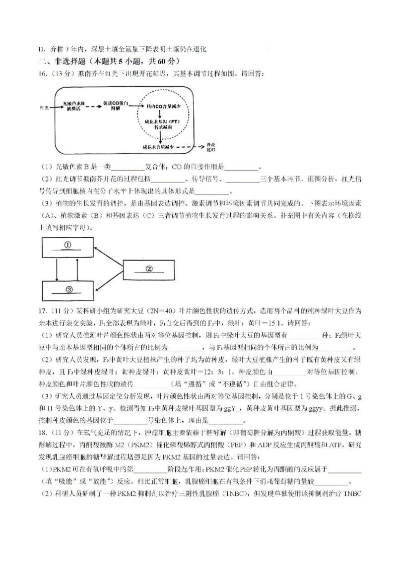 2025届福建省泉州市高三上学期8月高中毕业班质量监测（一）生物试题含答案_2024-2025高三（6-6月题库）_2024年08月试卷_0831福建省泉州市2025届高中毕业班质量监测（一）