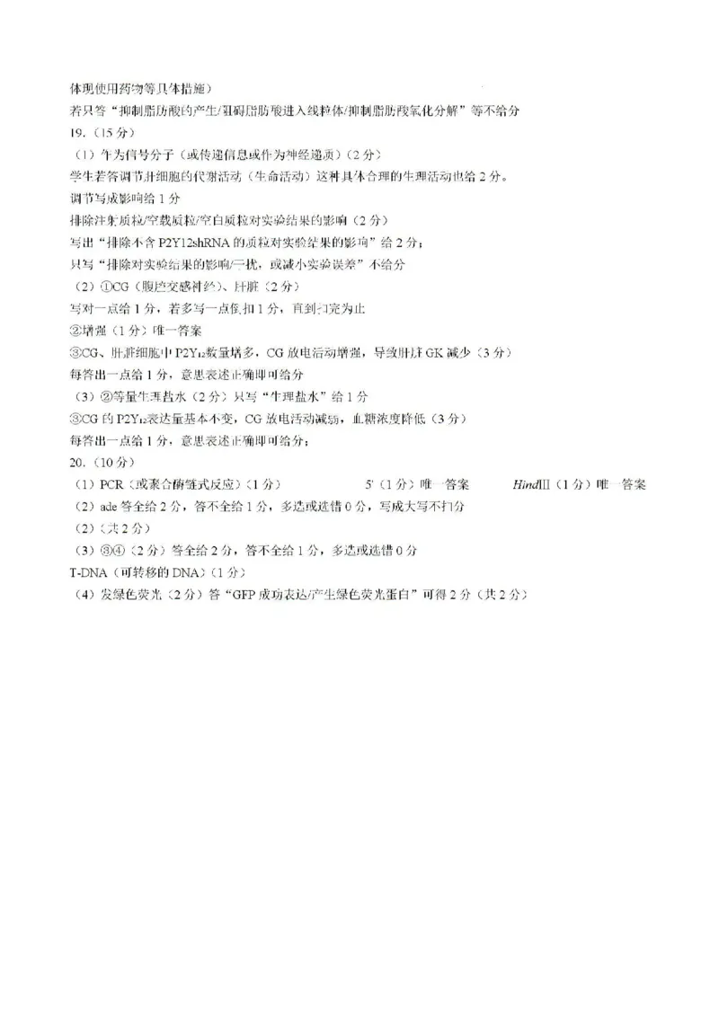 2025届福建省泉州市高三上学期8月高中毕业班质量监测（一）生物试题含答案_2024-2025高三（6-6月题库）_2024年08月试卷_0831福建省泉州市2025届高中毕业班质量监测（一）