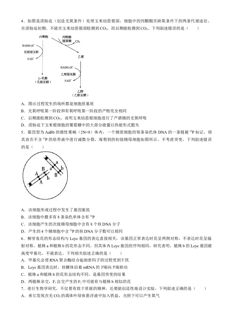 2025陕西省安康市高三上学期开学联考生物试题（有解析）_2024-2025高三（6-6月题库）_2024年09月试卷_09122025陕西省安康市高三上学期开学联考